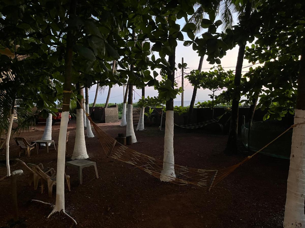 Kizhunna Rock Beach House Kannur Dış mekan fotoğraf